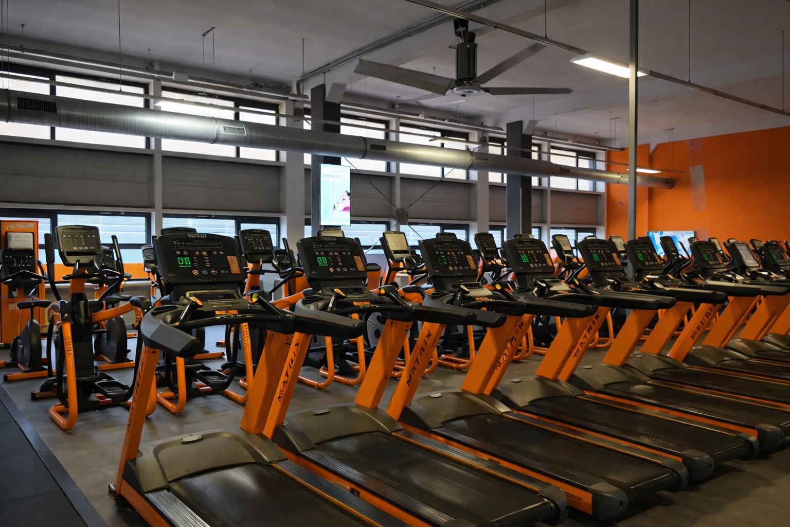 ChatGPT Image 6 feb 2026, 01_24_31