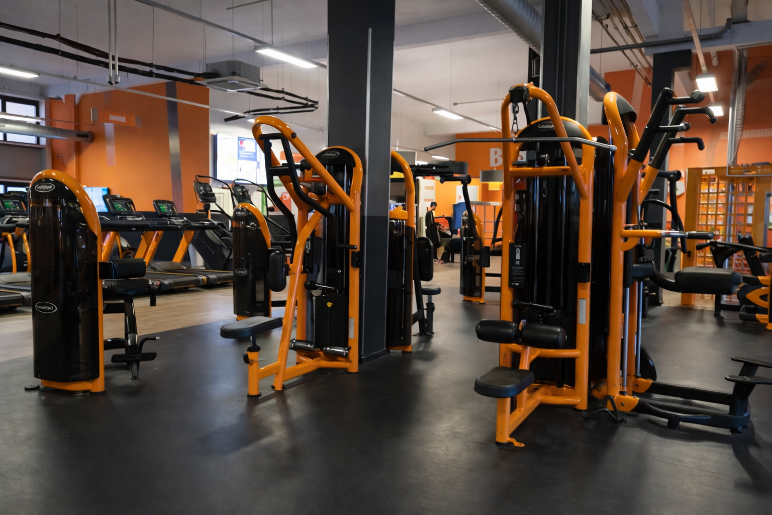 ChatGPT Image 6 feb 2026, 01_29_44